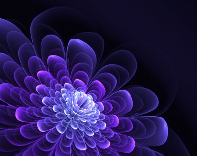 fractal flower