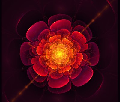 fractal flower
