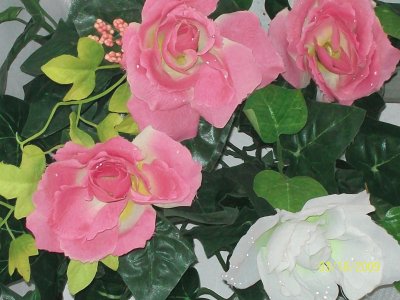 Flores jigsaw puzzle