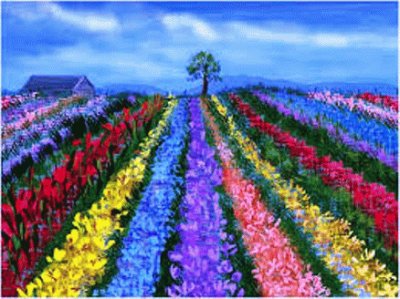 flower farm jigsaw puzzle