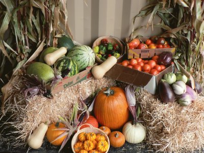 fall harvest jigsaw puzzle