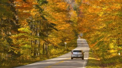 White Mountain drive jigsaw puzzle