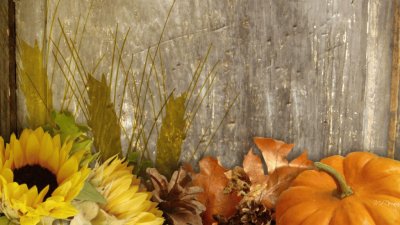 fall harvest and barn wood