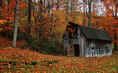 hidden hollow jigsaw puzzle