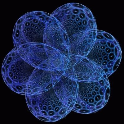blue flower