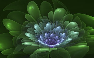 lily pad jigsaw puzzle