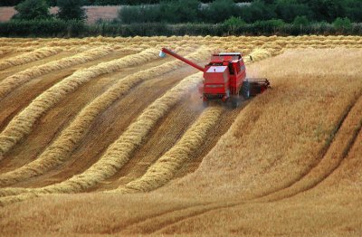 Combine lines