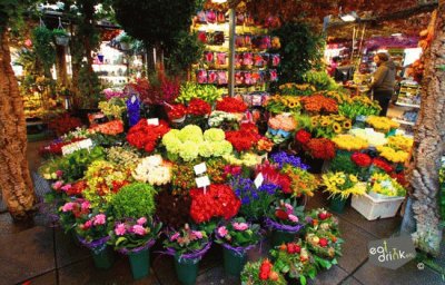 פאזל של flower market stall 2