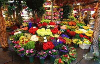 flower market stall 2 jigsaw puzzle