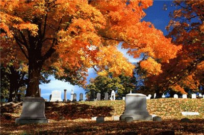 פאזל של Cross Creek cemetery