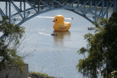 Rubber Ducky Pittsburgh jigsaw puzzle