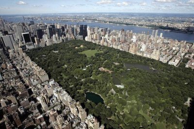 Central Park jigsaw puzzle