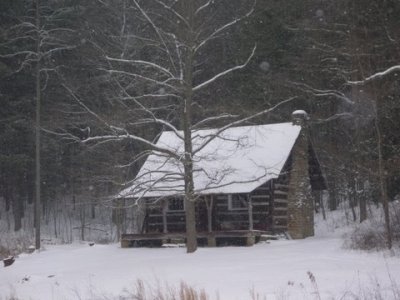 cabin the the woods jigsaw puzzle