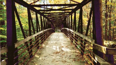 walk by the creek