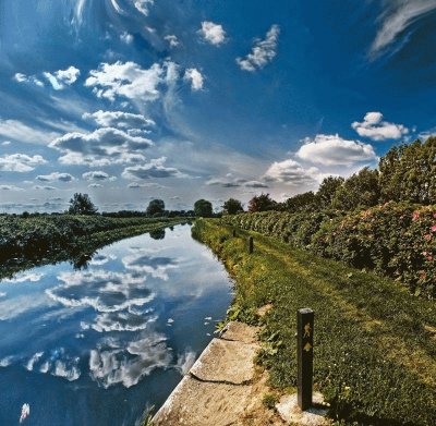 royal canal- dublin ' jigsaw puzzle