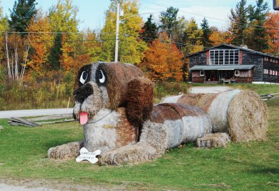 פאזל של Hay bale dog