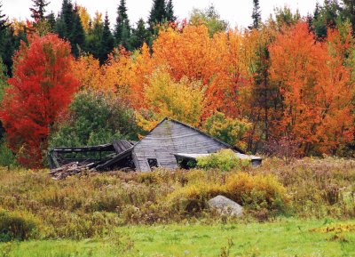 Autumn jigsaw puzzle