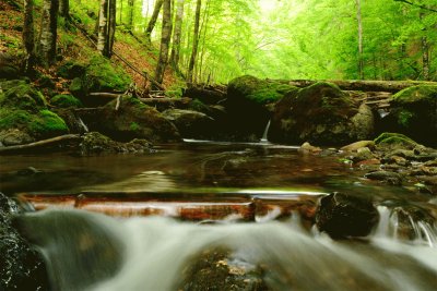rio verde