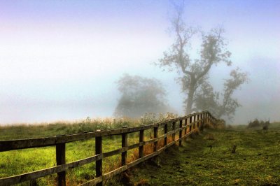 early morning mist