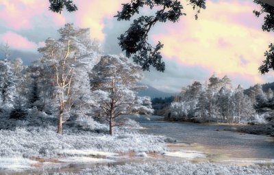 Loch Loy