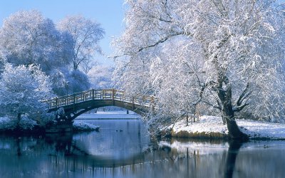 nieve