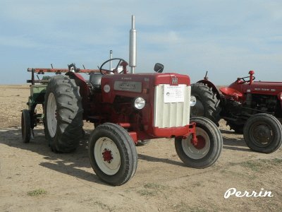 FaraÃ³n