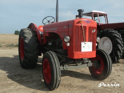 FaraÃ³n