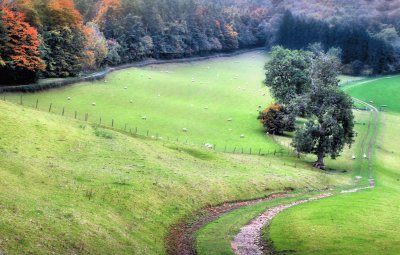 Country tracks jigsaw puzzle