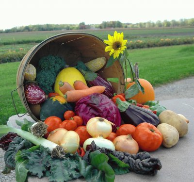 farm bounty jigsaw puzzle