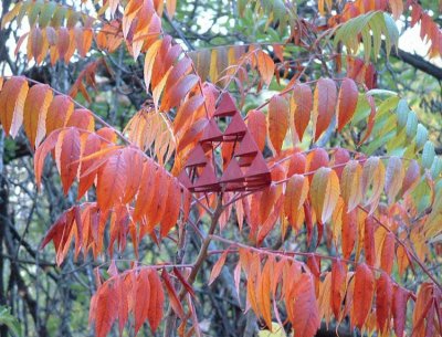 fall fractals jigsaw puzzle