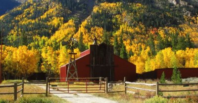 Colorado fall foliage