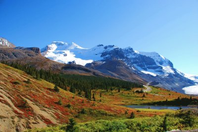 Near Athabasca Glacier