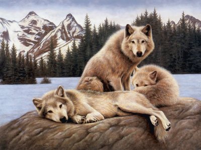 animales