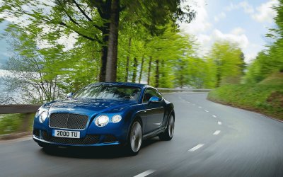 blu bentley jigsaw puzzle