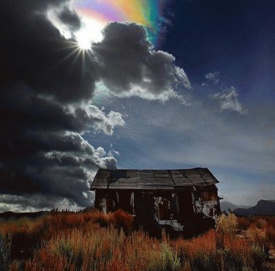 lonely cabin jigsaw puzzle