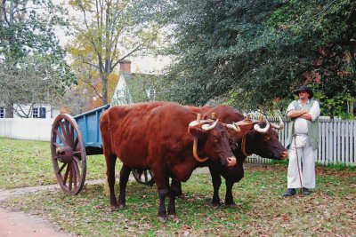 Colonial Williamsburg jigsaw puzzle