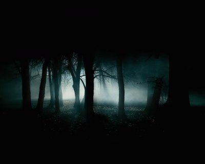 פאזל של bosque nocturno