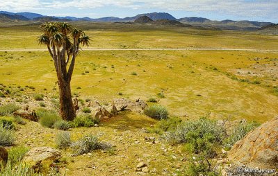 richtersveld jigsaw puzzle