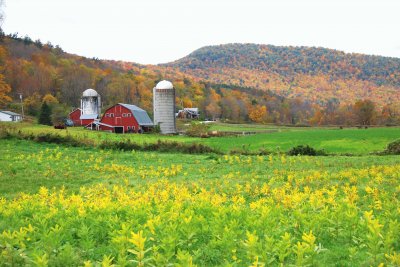 New England farm jigsaw puzzle