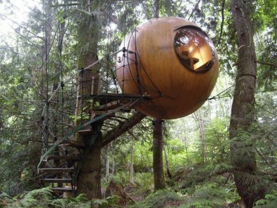 tree house b b