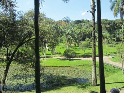 פאזל של Nascente do Riacho Ipiranga - SÃ£o Paulo - SP