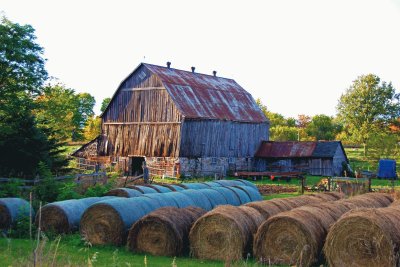 Old barn