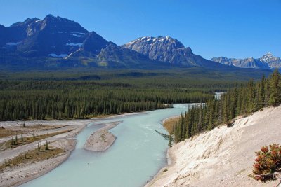 Athabasca Valley, Jasper NP jigsaw puzzle