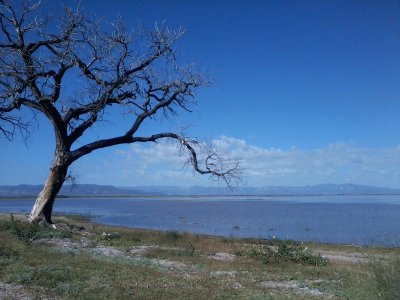 פאזל של laguna de santiaguillo