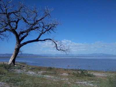 laguna de santiaguillo jigsaw puzzle