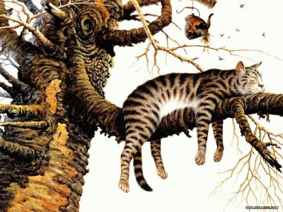 Gatos jigsaw puzzle