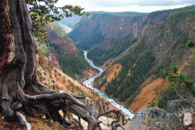 Inspiration Point, Grand Canyon of Yellowstone jigsaw puzzle