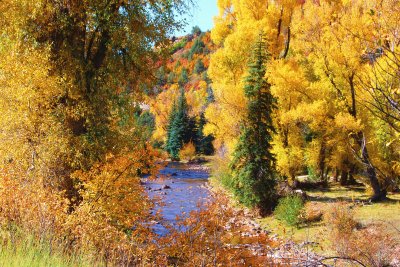 Fall in Colorado jigsaw puzzle