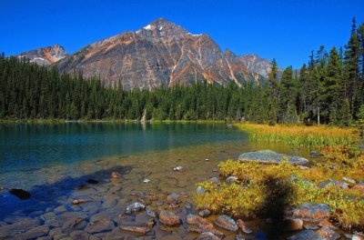 Cavell Lake, Jasper NP jigsaw puzzle