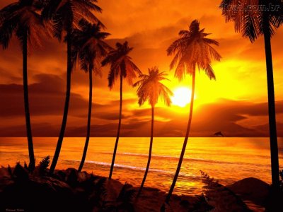 praia por de sol jigsaw puzzle